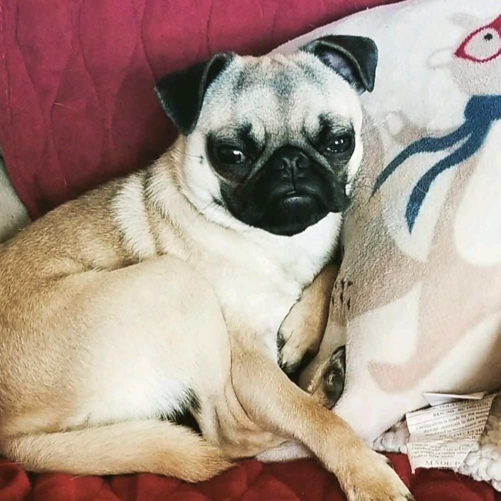 Meet your Posher, Denise